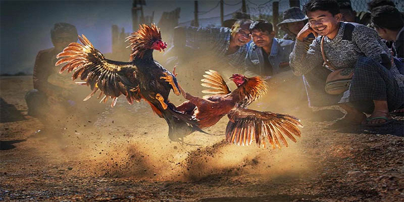 789bet vip chơi bắn cá đổi thưởng