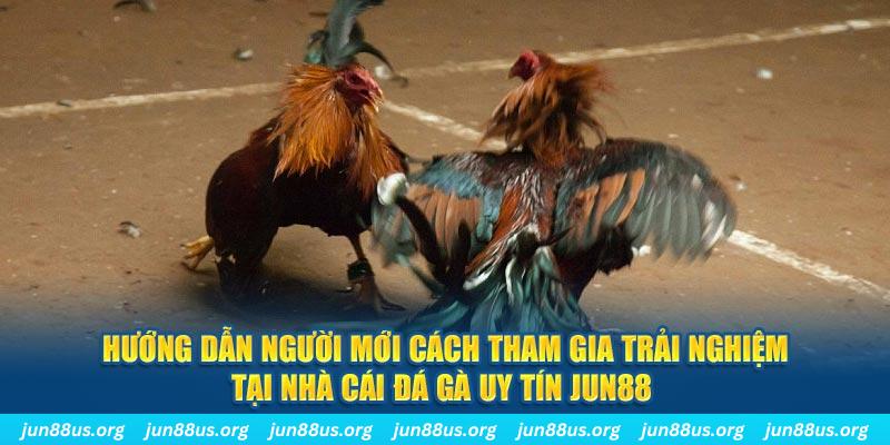789bet vip CQ9 Điện Tử
