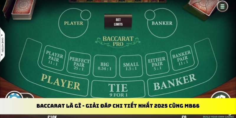 789bet vip gà chọi cu cần