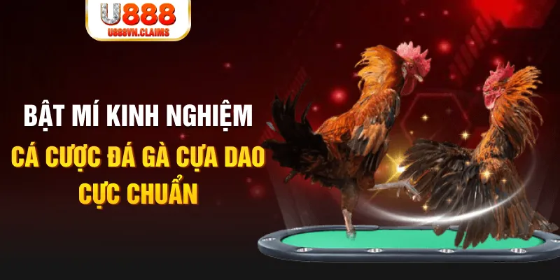789bet vip tỷ lệ cá cược châu á là gì