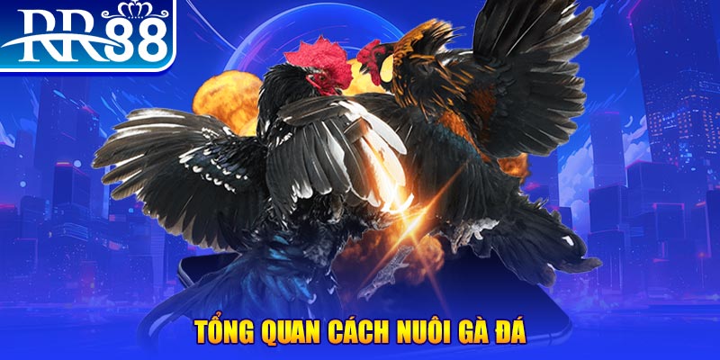 789bet vip VA Điện Tử