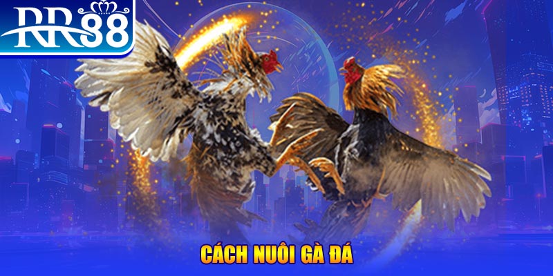 789bet vip xổ số an giang