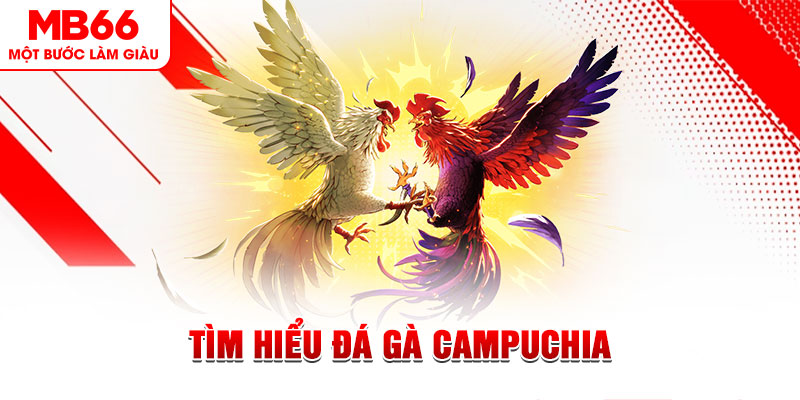 789bet vip đá gà trực tiếp