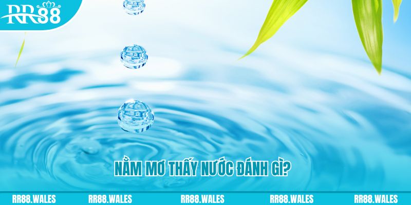 789bet vip TP Bắn cá