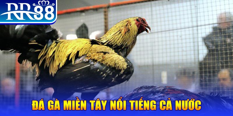 789bet vip JILI Game Bài 3d