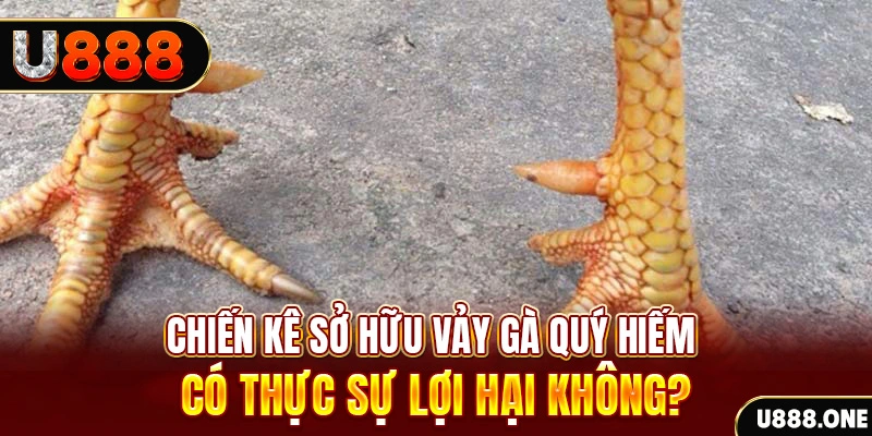789bet vip nohu .mx nổ hủ là gì