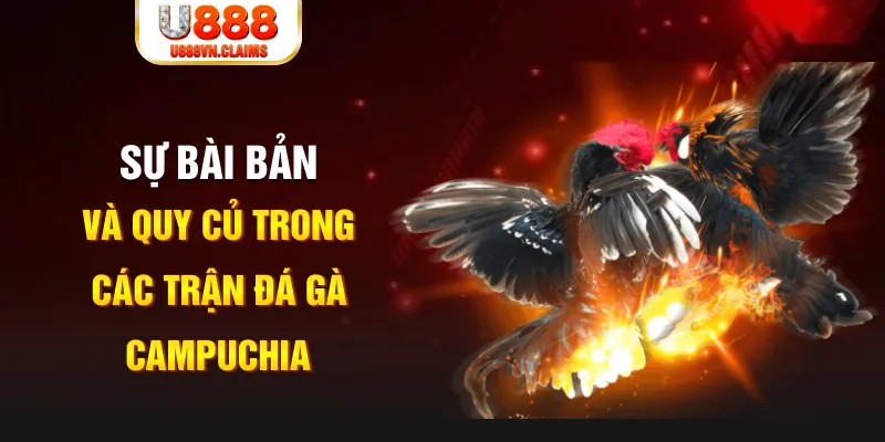 789bet vip YGR Điện Tử