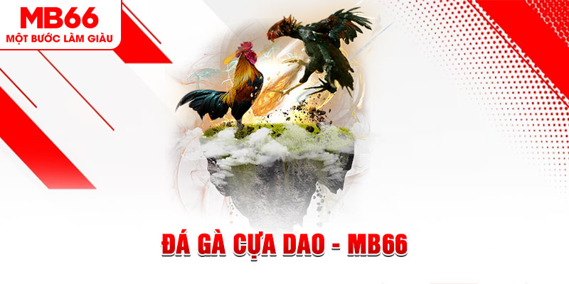 789bet vip đá gà sv388 gold