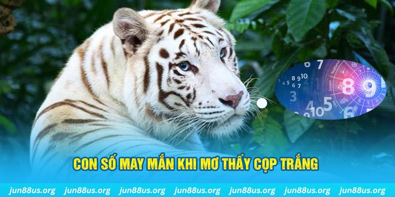 789bet vip đá gà trực tiếp 88